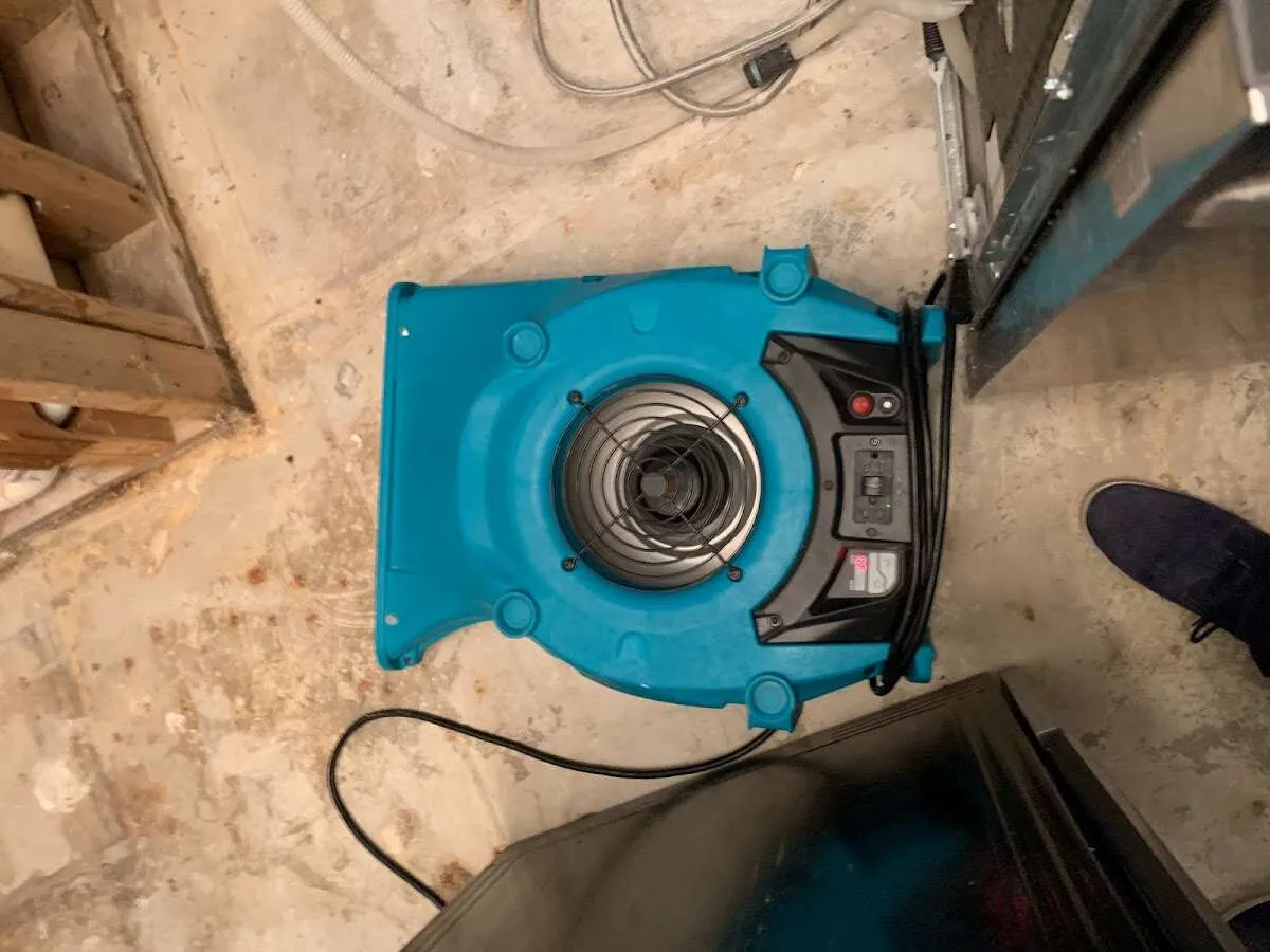 Air mover drying equipment for Mold Remediation & Removal in South Venice