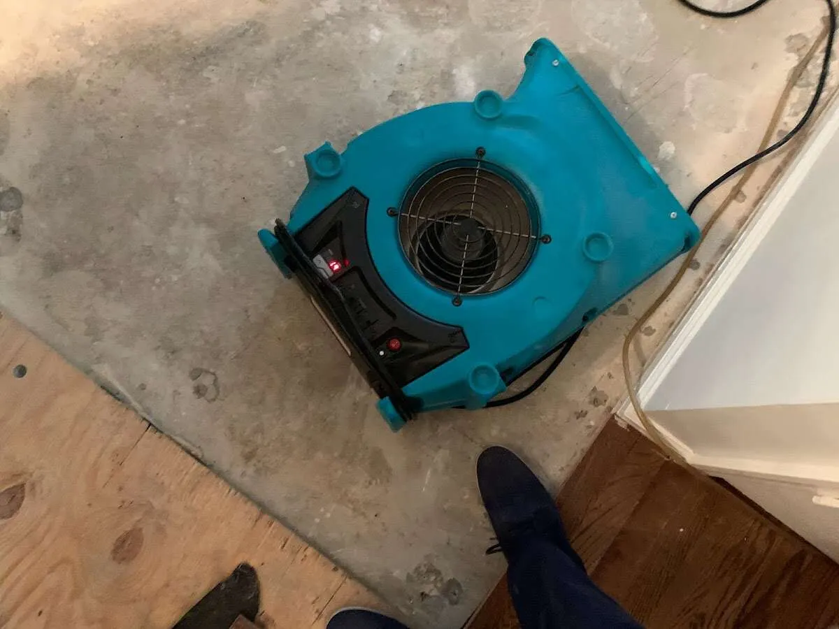 Air mover drying subfloor during Leak Detection & Repair in South Venice
